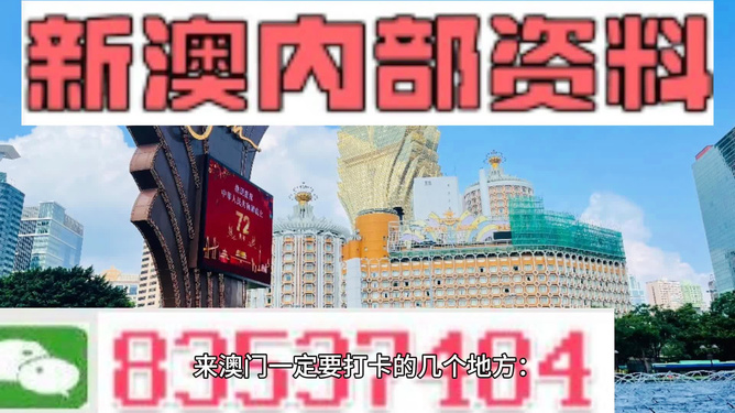 2025-2024全年新澳门与香港王中王正版|精选解释解析落实